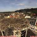 10_55-nest.jpg