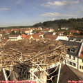 11_00-nest.jpg