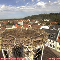 11_15-nest.jpg