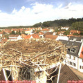 11_20-nest.jpg