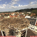11_25-nest.jpg