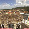 11_35-nest.jpg