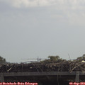 11_40-mast.jpg