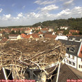 11_40-nest.jpg