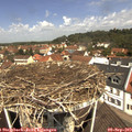 11_45-nest.jpg