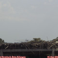 11_50-mast.jpg