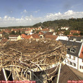 11_55-nest.jpg