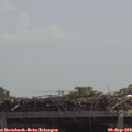 12_05-mast.jpg