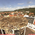 12_05-nest.jpg