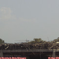 12_10-mast.jpg