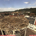 12_15-nest.jpg