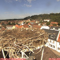 12_25-nest.jpg