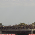 12_30-mast.jpg