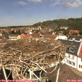 12_30-nest.jpg