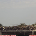 12_35-mast.jpg