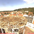 12_35-nest.jpg