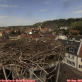 12_40-nest.jpg