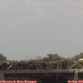 12_45-mast.jpg