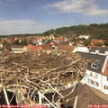 12_45-nest.jpg