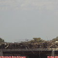 12_50-mast.jpg