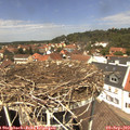 12_55-nest.jpg