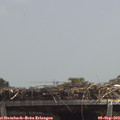 13_00-mast.jpg
