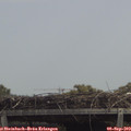 13_05-mast.jpg