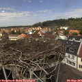 13_05-nest.jpg