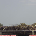 13_10-mast.jpg