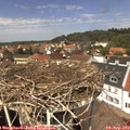 13_10-nest.jpg