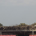 13_15-mast.jpg