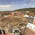 13_15-nest.jpg