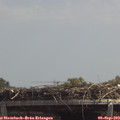 13_20-mast.jpg