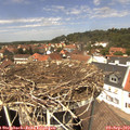 13_20-nest.jpg