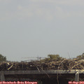 13_25-mast.jpg