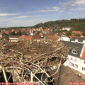 13_25-nest.jpg