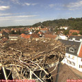 13_30-nest.jpg