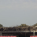 13_35-mast.jpg