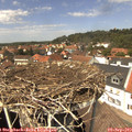 13_35-nest.jpg