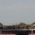 13_40-mast.jpg