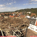 13_40-nest.jpg