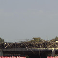 13_45-mast.jpg