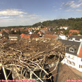 13_45-nest.jpg