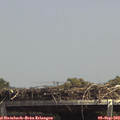 13_55-mast.jpg