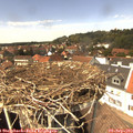 14_00-nest.jpg