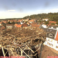 14_05-nest.jpg