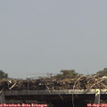 14_10-mast.jpg
