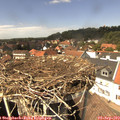 14_10-nest.jpg