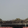 14_15-mast.jpg