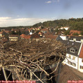 14_15-nest.jpg